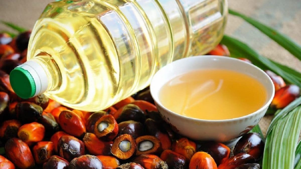 Palm Oil Imports Hit 13-Year Low As Soybean Oil Surges