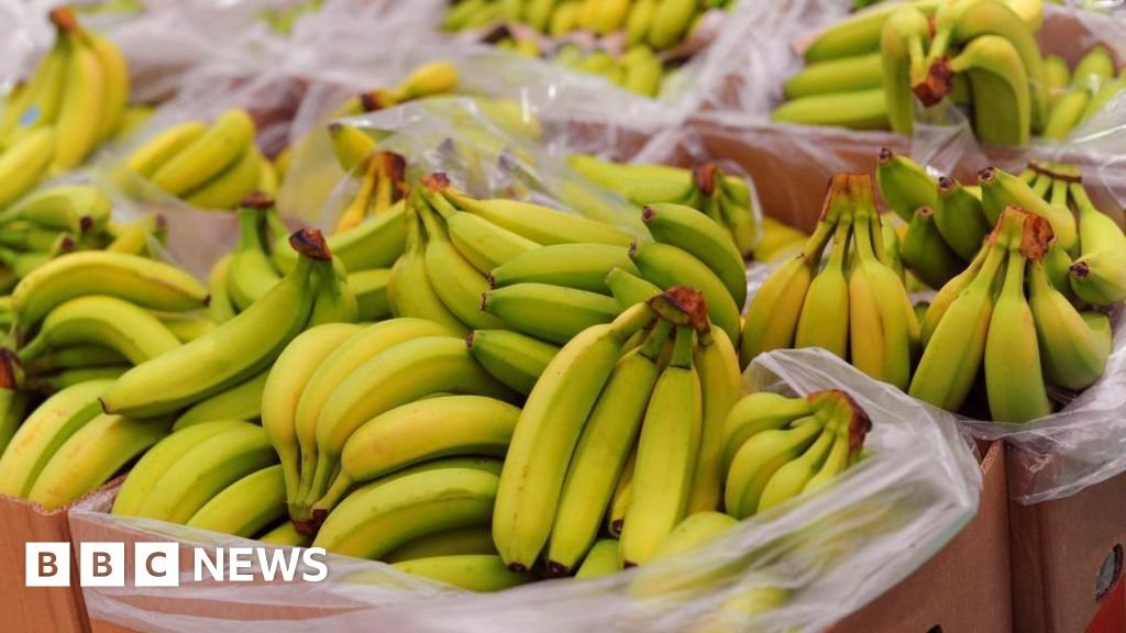 Bananas galore in Orkney after store orders 38,000 by mistake