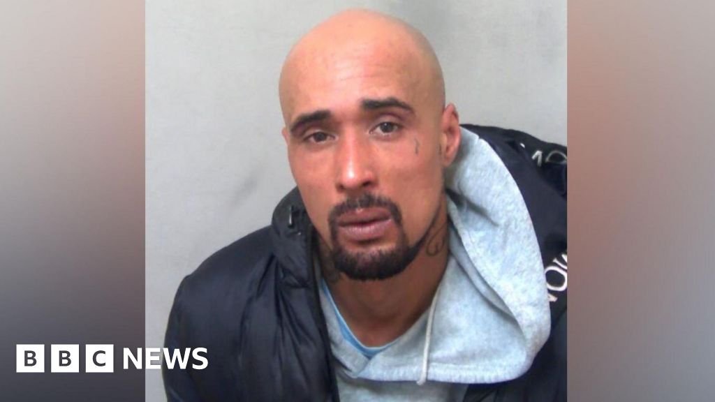 Amateur rapper whose XL bully killed his mother-in-law jailed for 10 years