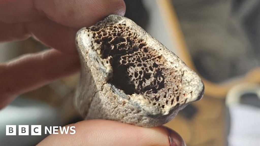 Girl's 'mammoth' bone find may be 500,000 years old