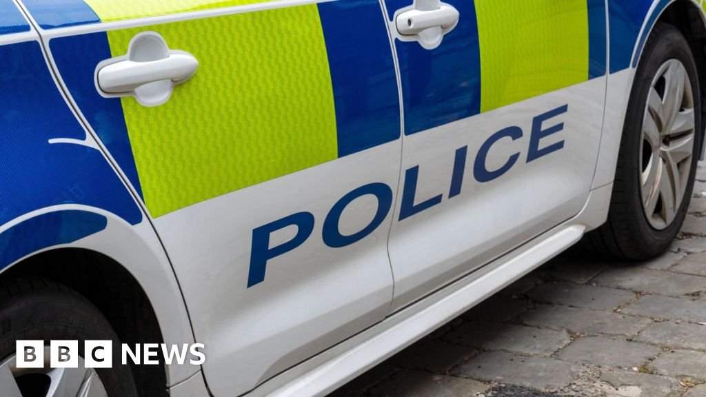 Arrest after man and young girl die in pony and trap crash