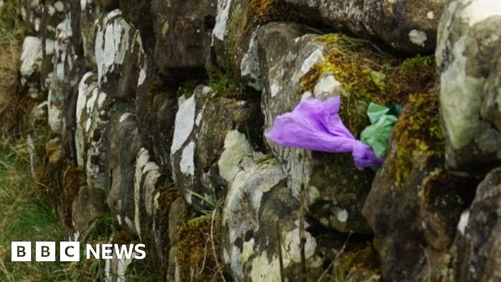 Hadrian’s Wall rangers say walkers hide poo bags in its stones