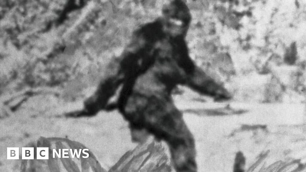 Researchers spent years interviewing 160 Bigfoot hunters – this is what they learnt