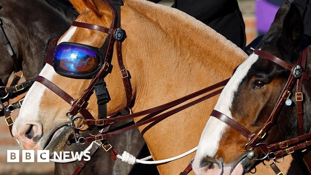 Sunglass-wearing police horse Luna retires