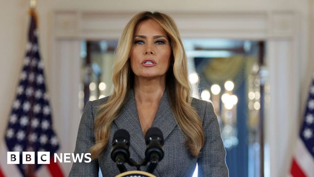 Melania Trump: 'I never had a relationship with Epstein'