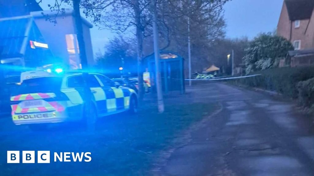 Four teens arrested over fatal stabbing of boy, 16
