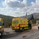 Four Palestinians and one Israeli killed in West Bank shooting
