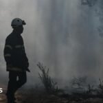 Gironde wildfires pick up as French region braces for new 40C heatwave