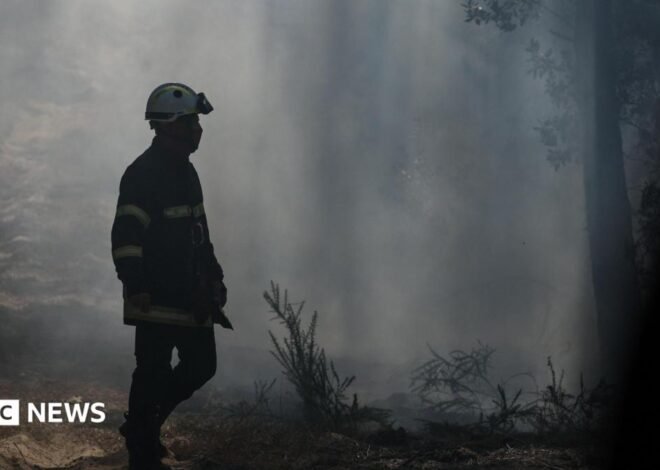 Gironde wildfires pick up as French region braces for new 40C heatwave