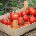 Luxury exec left Hermes for farm. It’s nearing $50 million business