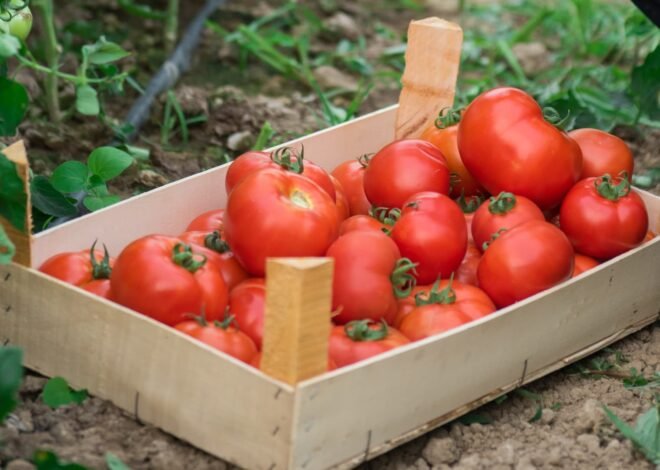 Luxury exec left Hermes for farm. It’s nearing $50 million business