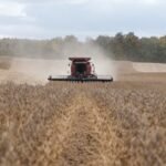 US state tariff bills rise as Trump faces midterms affordability fight
