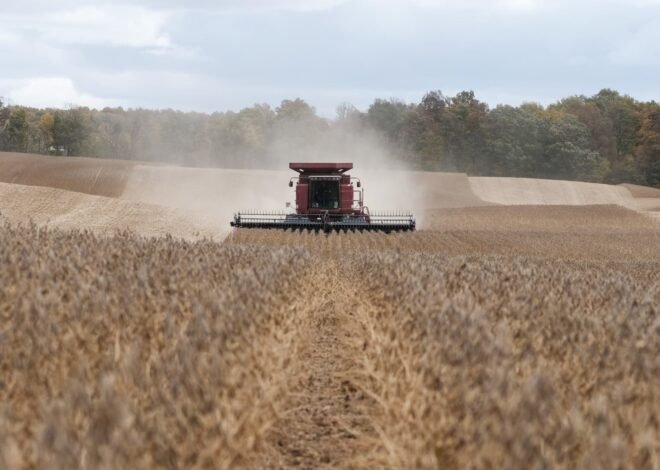 US state tariff bills rise as Trump faces midterms affordability fight