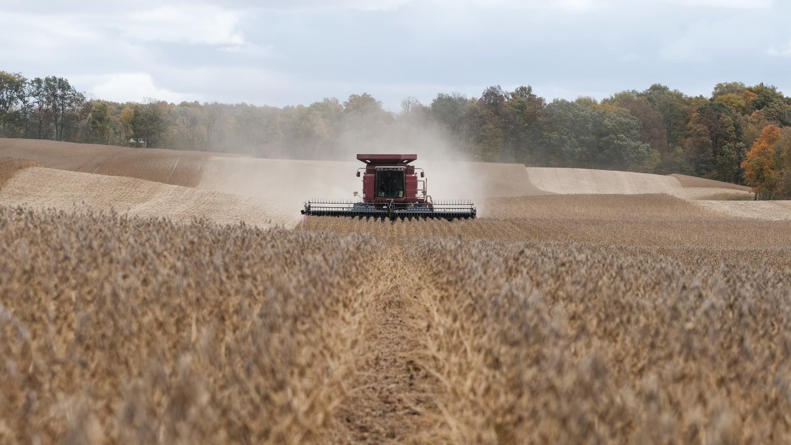 US state tariff bills rise as Trump faces midterms affordability fight