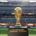 FIFA World Cup subsidiary tests limits of private equity in sports