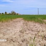 Is UK facing drought for second summer in a row?