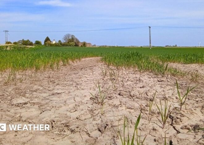Is UK facing drought for second summer in a row?
