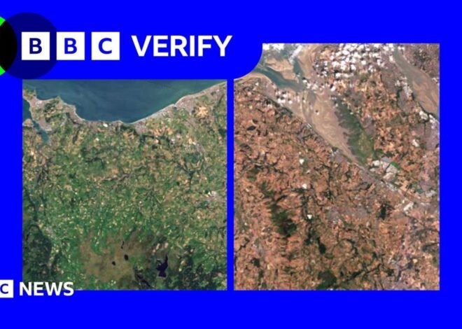 Satellite images show impact of heatwaves and drought on UK landscape