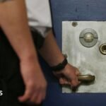 What could happen to prisoner early release scheme now PM has paused it?