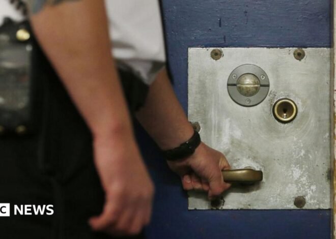 What could happen to prisoner early release scheme now PM has paused it?