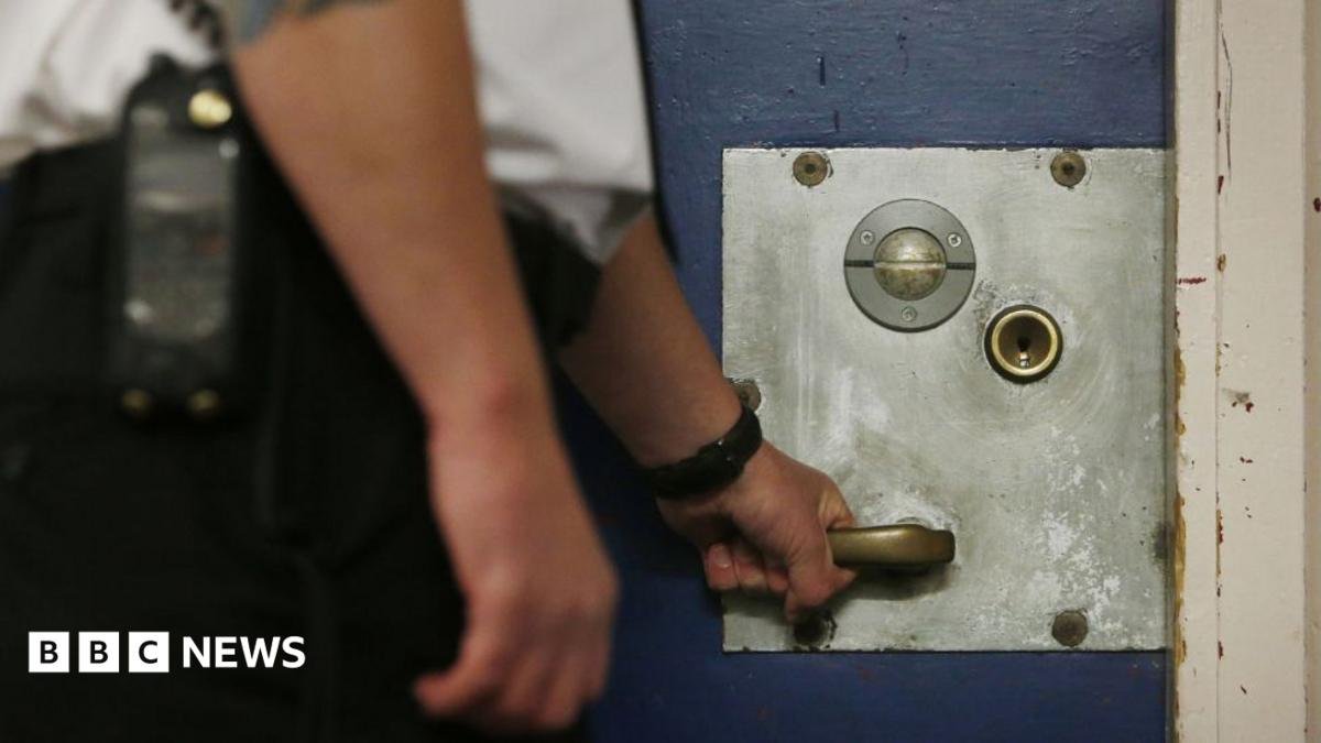 What could happen to prisoner early release scheme now PM has paused it?