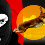 Gangs, violence and dumped dead animals: The hidden world of illegal hare hunts