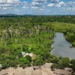 Brazil’s Amazon sees sharp decline of area burned in 2025