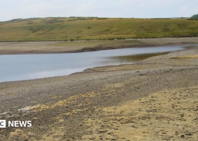 Drought declared for whole of Wales amid sustained high temperatures