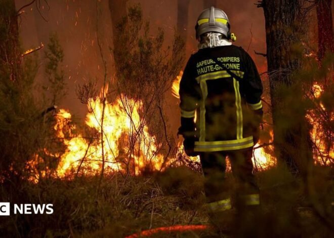 How wildfires in France and Spain may affect your travel plans