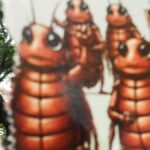 CJP protest at Jantar Mantar in Delhi: The meme language of India’s Gen Z ‘cockroach’ protest