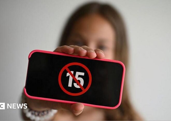 France approves social media ban for under-15s