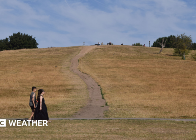 UK weather: Driest regions miss chance for rain ahead of next heatwave