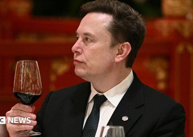 ‘Let’s enjoy the ride’ says Elon Musk, as AI risk concerns mount