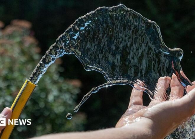 Hosepipe ban extended to Surrey, Sussex, Hampshire and Berkshire