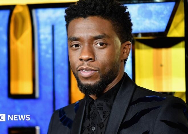 Black Panther star Chadwick Boseman’s family in legal dispute with his widow
