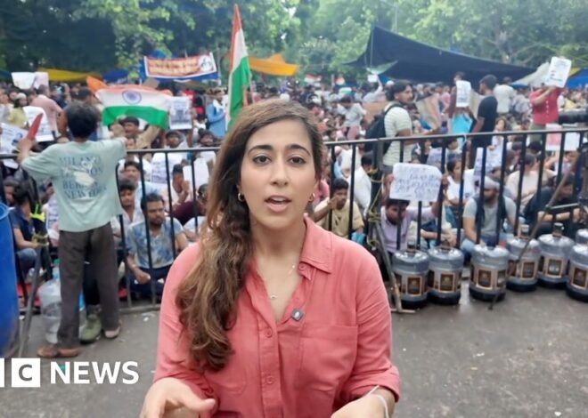 ‘Momentum is still there’: The BBC at India’s Cockroach Janta Party (CJP) protest