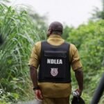 Nigeria drug trade: How Mexican cartels have outsourced meth labs