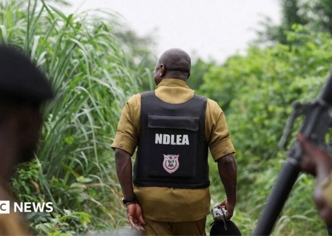 Nigeria drug trade: How Mexican cartels have outsourced meth labs