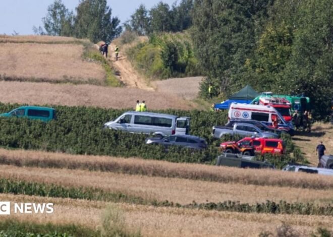 Missile that left crater deep inside Poland was probably Russian – Polish PM Tusk
