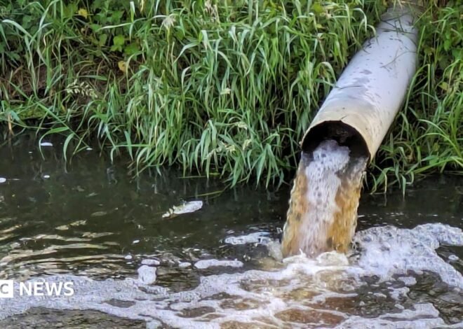 Most sewage spills in England may be illegal, new research suggests