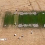UK weather: England and Wales on course for driest July on record