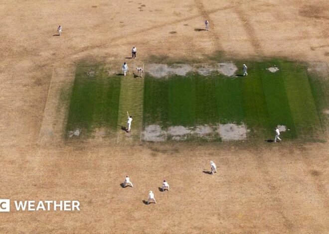 UK weather: England and Wales on course for driest July on record