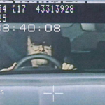 Richard Hammond fined £999 after being caught speeding twice
