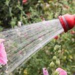 Hosepipe ban in force for millions of households – is your area affected?