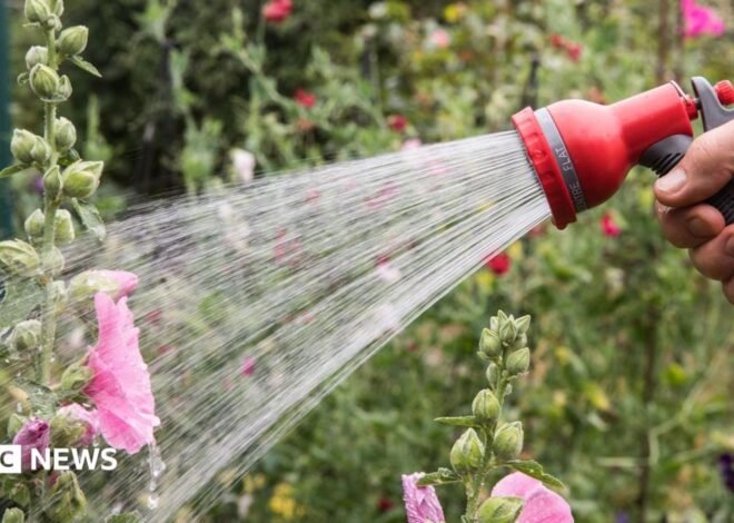 Hosepipe ban in force for millions of households – is your area affected?