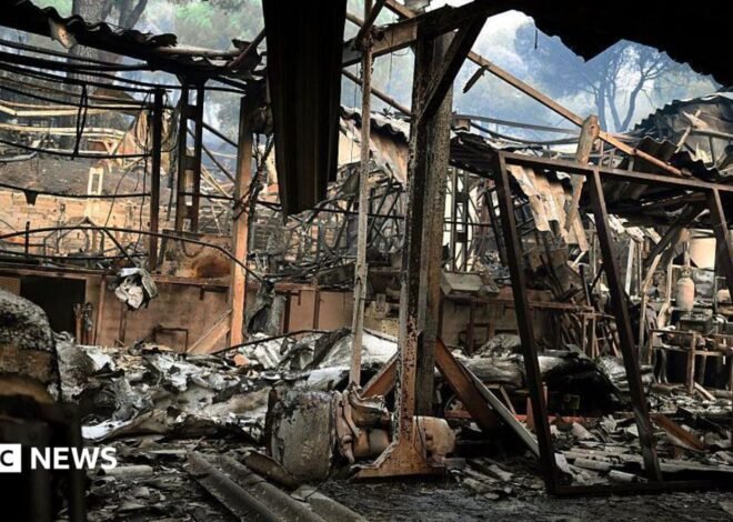 ‘It’s a hell of a situation’: Spain grapples with major wildfires