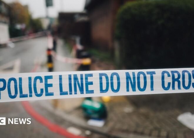 Luton stabbing: Police launch murder investigation after teenager dies