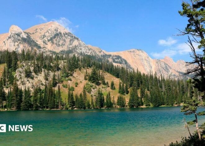 How the ‘Yellowstone effect’ transformed one rugged western American city