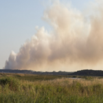 Crews tackle large fire on Dunwich Heath in Suffolk