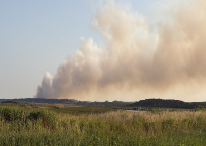 Crews tackle large fire on Dunwich Heath in Suffolk